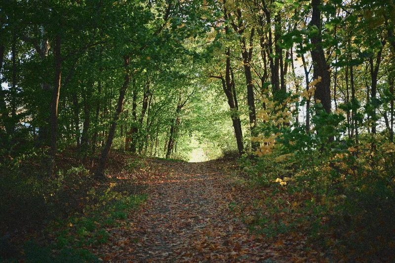 Sefton Park / Otterspool Promenade